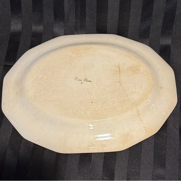 Vintage China Penn Parrot Serving Platter - Picture 16 of 16